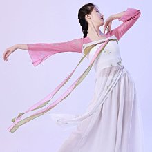 古典舞蹈服女飄逸半身長裙大擺裙芭蕾練功服紗裙舞演出服 歷史價格詳細信息