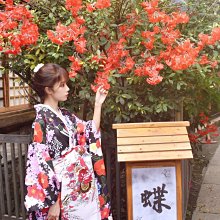 『超夯』原創設計本命年福牌朱砂手鏈女天然珍珠紫金砂轉運珠正品手串禮物流行飾品男女個性飾品~10349  悅家 歷史價格詳細信息