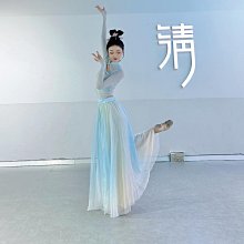 古典舞蹈服裝練功罩衫成人彈力網紗上衣中袖芭蕾舞蹈服形體體操服古典舞衣 民族舞衣 表演服 舞蹈服 形體舞蹈服 體操服 芭蕾練功服 歷史價格詳細信息