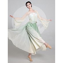 古典舞蹈服女飄逸半身長裙大擺裙芭蕾練功服紗裙舞演出服 歷史價格詳細信息