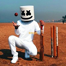 MARSHMALLOW(棉花糖系列) 幸運北極熊小抱枕 歷史價格詳細信息