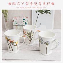 【Beatrice碧翠絲】韓國熱銷 Beauty環保家事手套-L(3入-隨機出貨) 歷史價格詳細信息
