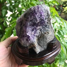 狐狸小八【城邦讀書花園】 歷史價格詳細信息