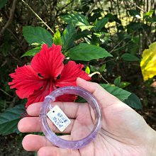 AAA+天然紫黃晶手鍊～窄版～手圍17號（舒服）、手圍17.5號（合手）～《帝62款》～雙色紫黃水晶手鍊～圈口=內徑55mm寬16mm厚9mm～｛熊寶貝珠寶｝～ 歷史價格詳細信息