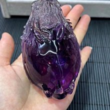 G-5946 【東京成人av西洋現貨】 Big Butts Drive Me Nuts 歷史價格詳細信息