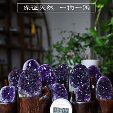 特價現貨 天然棕櫚刷鍋神器洗鍋刷鍋刷子長柄廚房新式清潔炊帚不~特價 歷史價格詳細信息
