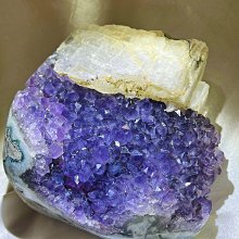 葡萄紫彩色拼接後背包 AMINAH~【am-0256】 歷史價格詳細信息