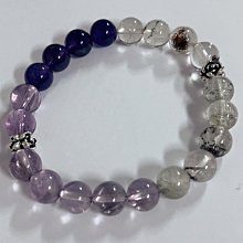 巴西木水培幸運木帶芽發貨小盆栽室內辦公室桌面水養懶人植物擺件 歷史價格詳細信息