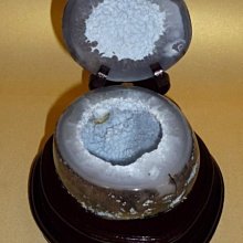 〈典藏家〉晶采系列壓蒜器 歷史價格詳細信息