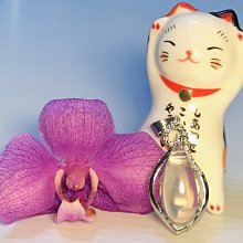 【好來】銀離子炭潔牙刷 2入 (原黑人/深潔除菌/纖柔刷毛) 歷史價格詳細信息