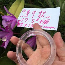 愛貝熊冰晶玻璃 歷史價格詳細信息