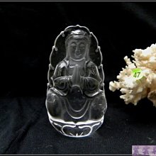 巴西木開花水養幸運木情侶款水培植物巴旦木室內可開花綠植盆栽 歷史價格詳細信息