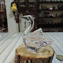 早期小澤征悅.菅谷梨沙子.菅谷浩志的螢火蟲之星 (Fireflies River Of Light) 全新正版中日雙語發 歷史價格詳細信息