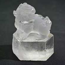 【免運】獅子腕帶適用15手機殼新款iphone14promax斜挎式13防摔12女11 歷史價格詳細信息