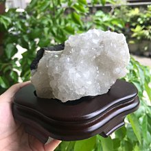 狐狸小八【城邦讀書花園】 歷史價格詳細信息