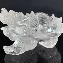 龍龜~帶色根 歷史價格詳細信息