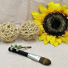 ☆小南美妝☆ 12支彩妝刷具組 化妝刷具 買就送壓克力筆筒 歷史價格詳細信息