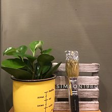 Flawless 口紅臉部無痛除毛器 雜毛 剪眉 手毛 推剪 修鬢 美容 耳毛 修容 水洗 修面 理鬢 剃刀 髮型 鬍子 歷史價格詳細信息