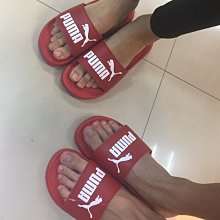 {潮鞋瘋}Puma Popcat 紅色 舒適輕量  戶外拖鞋 大LOGO 情侶款(女段) 360265-13 歷史價格詳細信息