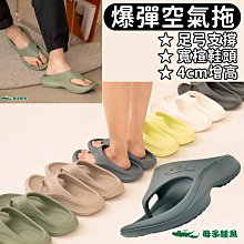 母子鱷魚夾腳拖-三代 歷史價格詳細信息