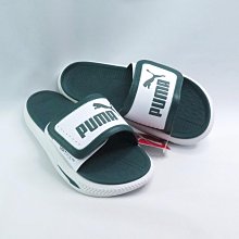 白綠灰絲帶珠 緞帶珠 手鍊製作 圓扁形玻璃珠 反暴力 純真 腦癌 肺癌 膽囊癌 手工藝 串珠配件 兒童DIY 10PCS 歷史價格詳細信息