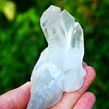 【生活家原料館】天然小麥木醣(強效去汙)起泡劑(ECOCERT/COSMOS認證)有效成分：60%【1KG】 歷史價格詳細信息