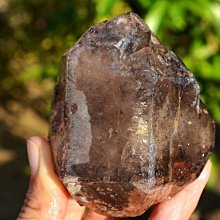 兆鑫生活館-天然白水晶/原石/水晶柱/晶簇/擺件/ 338g 歷史價格詳細信息