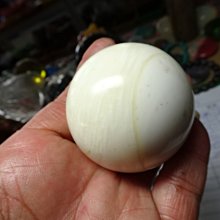 天然玉化貝殼手串玉化貝佛珠 海底玉高冰透冰透手串手錬安神靜心 歷史價格詳細信息