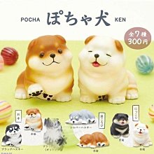 【KITAN扭蛋 泡泡先生杯緣公仔】Norns Barbapapa家族 日本轉蛋 奇譚俱樂部PUTITTO 可愛擺飾 玩 歷史價格詳細信息