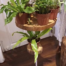 黑檀底座 酸枝雕花蓋盤香爐 禪韻鏤空熏香爐檀香爐4H木質香盒 歷史價格詳細信息