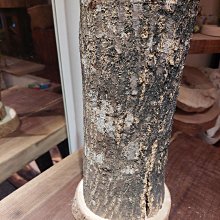 純黑手工刷破超彈力牛仔褲 【2012】 歷史價格詳細信息