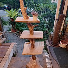 台灣樟木名片座，M版本|芬多森林 歷史價格詳細信息