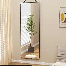 穿衣鏡家用試衣鏡一體衣架客廳臥室旋轉收納多功能玄關全身落地鏡 歷史價格詳細信息