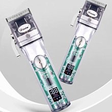 迪秀D1專業吹風機大功率2600W髮廊專用速幹大風力負離子護髮加長 歷史價格詳細信息