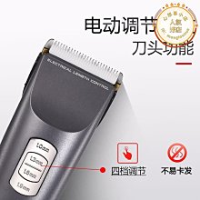 【東東】髮廊專用吹風機家用3000w負離子護髮理髲店大功率3800w速乾吹風機 歷史價格詳細信息