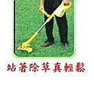 (112年新款)花圈 花環 海邊度假仿真花朵 發箍 發帶新娘頭飾手環 浪漫婚禮新娘手環花飾品 伴娘姐妹花環【E-671】 歷史價格詳細信息