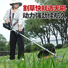 打開德國說亮話！守規矩卻愛插隊、嗜吃生豬肉、不在計畫內就抓狂，旅歐文化觀察......【城邦讀書花園】 歷史價格詳細信息