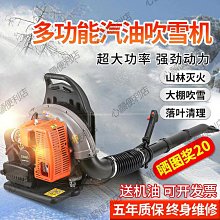 大功率離心風機鼓風機耐高溫純銅風機熱風循環烘乾化工排氣引風機 歷史價格詳細信息