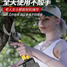 進口電動修枝剪果樹剪刀高枝電動剪園林園藝充電式蘋果樹枝修剪機【沐陽家居】 歷史價格詳細信息