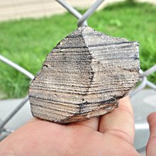 家常菜 王晶 2014-3 中國輕工業 歷史價格詳細信息