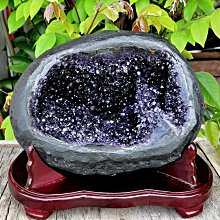 46 烏龜 羅西 (R1 R3 R6 T-MAX 勁戰四代 CYGNUS YAMAHA 勁戰三代 蠍子 猴子 黃蜂 ) 歷史價格詳細信息