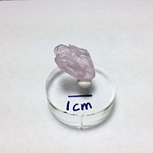 【Texture & Nobleness 低調與奢華】精品礦區 原礦 標本 -巴基斯坦 海水藍寶- 3.31克 歷史價格詳細信息