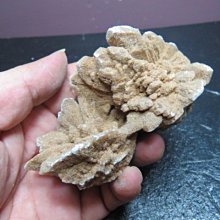 【競礦網】天然罕見西藏白玉石球1.3公斤95mm(贈座)(親民價、便宜賣、限量5組)原價500元 歷史價格詳細信息