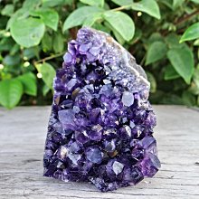 高科技智能晶片提把式真空保鮮罐禮盒6.5L(台灣製造/專利款/真空/保鮮/食品/乾料/飼料) 歷史價格詳細信息