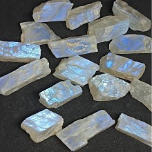 藍調石墻T 新新聞出版 Leslie Feinberg 歷史價格詳細信息