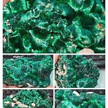 天然枝狀沙丁珊瑚搭14k鍍金耳環（適合無耳洞配戴） 歷史價格詳細信息