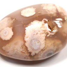 【加加】櫻花牌EG2300G☆220V☆三口IH感應爐☆台北市新北市免運費☆ 歷史價格詳細信息