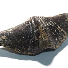 a級中控顯示屏幕鋼化膜a200l導航保護貼膜a180汽車內改裝用品 歷史價格詳細信息