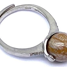 ***原礦屋*** 透光料體！A級加拿大雙面強藍暈拉長石大象小雕件 (可站立、彎鼻可當孔) 2.4g！(手創、飾品) 歷史價格詳細信息