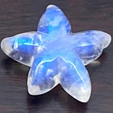 忘憂藍貓爪貓咪菩提根手鏈女白玉菩提子繞指柔學生手持菩提手串男女飾品流行飾品．RA07874  [滿300出貨] 歷史價格詳細信息